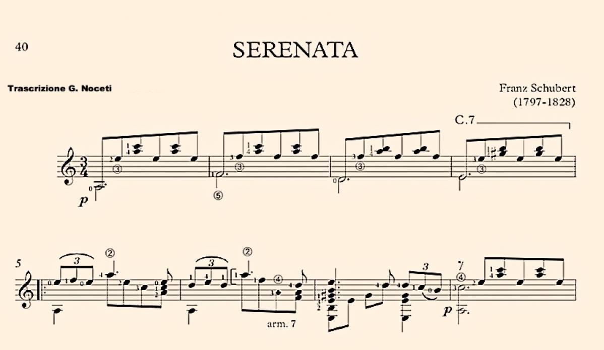Serenata Franz Schubert Trascrizione - G. Noceti 